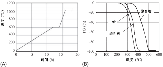 Fig 17.4.jpg