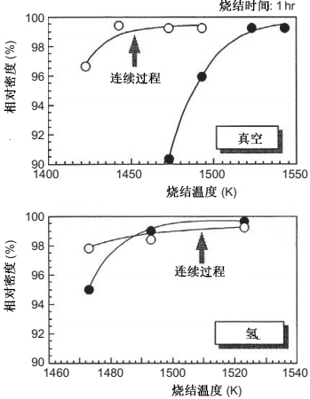 Fig 21.20.jpg